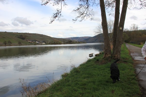 IMG_8320.JPG IMG_8320.JPG