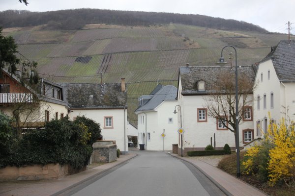 IMG_8322.JPG IMG_8322.JPG