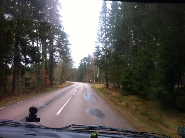 IMG_0267.JPG IMG_0267.JPG