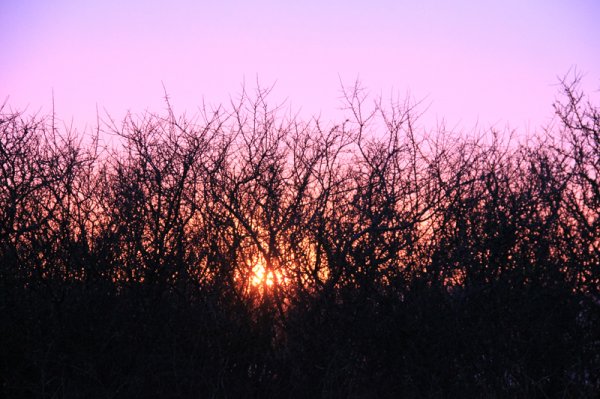 2014-03-24Farö.jpg 2014-03-24Farö.jpg