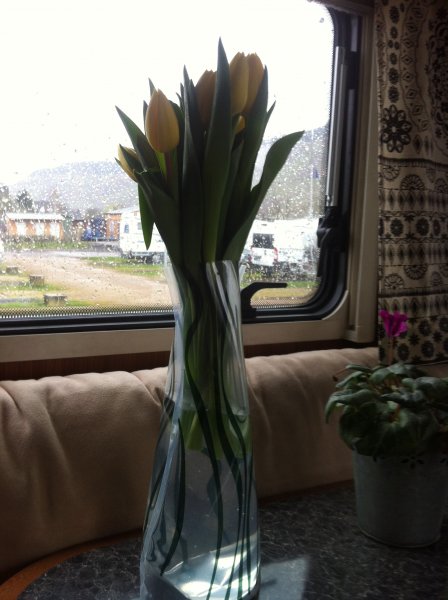 IMG_0265.JPG IMG_0265.JPG