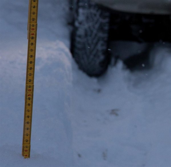 IMG_4651 (Large).jpg