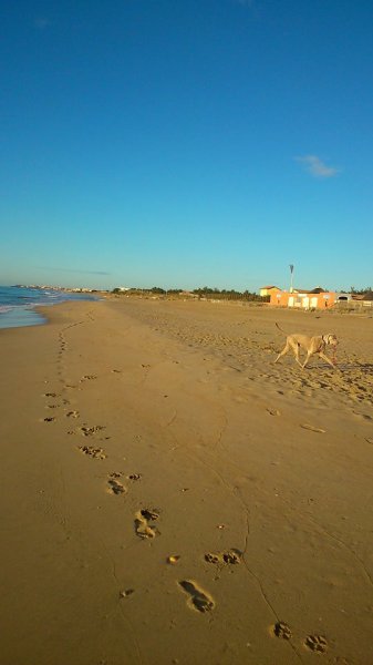 Fritz Marseillan Plage.jpg