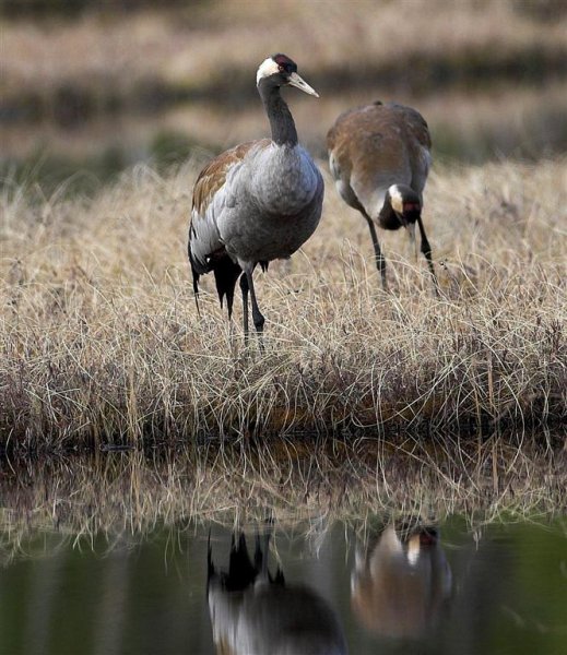 IMG_5221-01 (Large).jpg IMG_5221-01 (Large).jpg