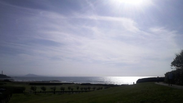 DSC_0346.jpg