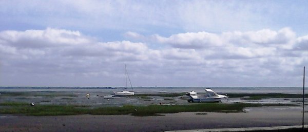 DSC_0350.jpg