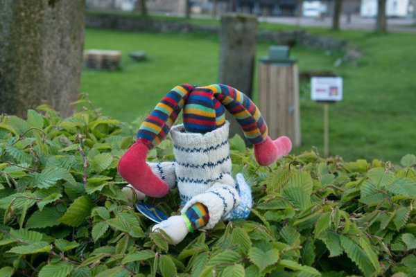 140510.097.jpg 140510.097.jpg