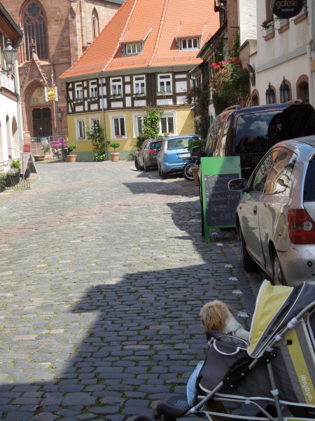 DSCN2663.JPG DSCN2663.JPG