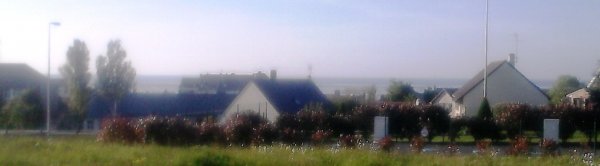 DSC_0398.jpg DSC_0398.jpg