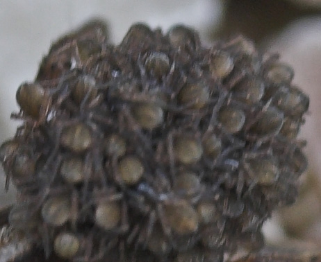 Fråga XII, 2 poäng.jpg