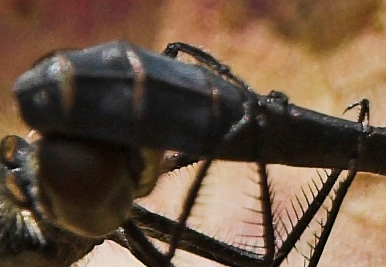 Fråga XVII, 2 poäng.jpg