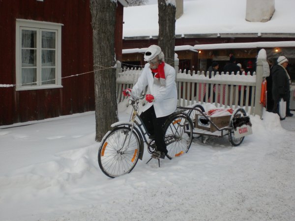 Kopia av CIMG0645.JPG