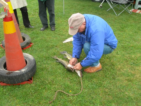 Hultsfred - maj - 08 107.jpg