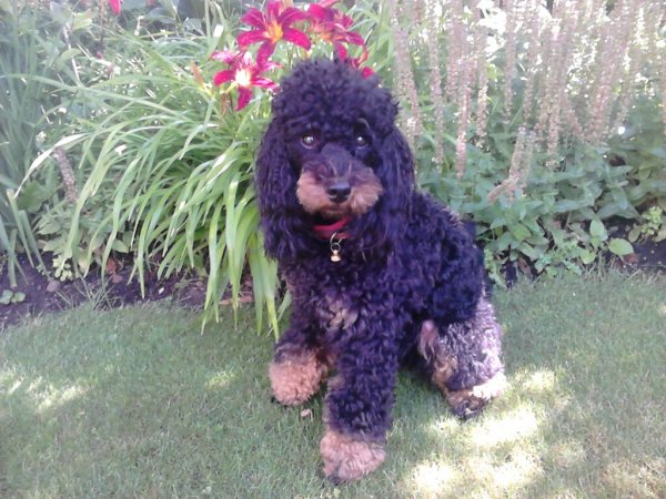 IMG_0952.JPG IMG_0952.JPG