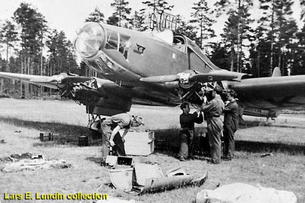 P6 Focke.jpg