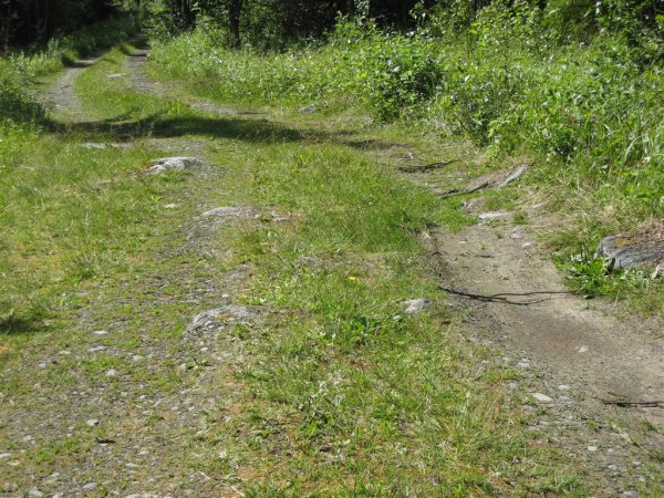 Bild 008 (Large).jpg Bild 008 (Large).jpg