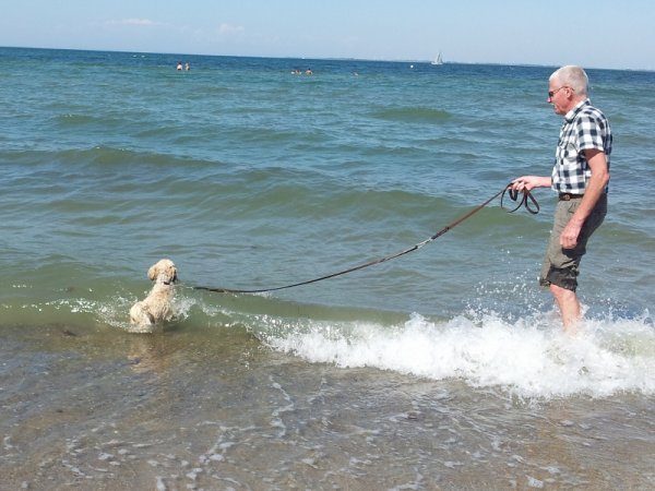 20140710_153725 (2) (800x600).jpg