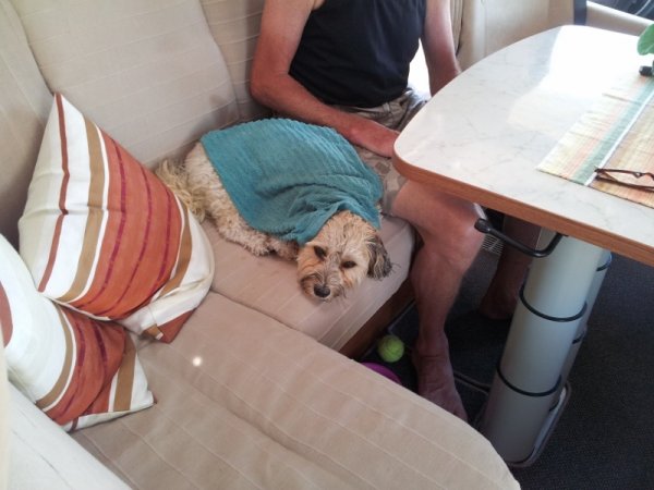 20140720_134423 (2) (800x600).jpg