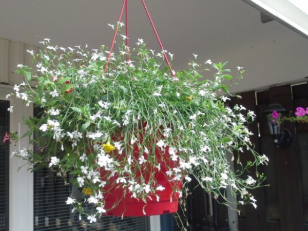 20140728_124915.jpg 20140728_124915.jpg