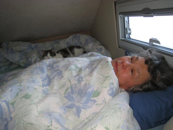 Bild 008 (Large).jpg Bild 008 (Large).jpg