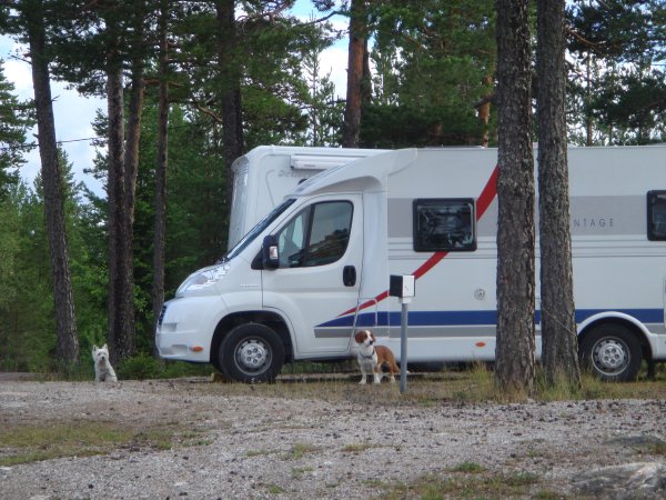 DSC01709.JPG DSC01709.JPG