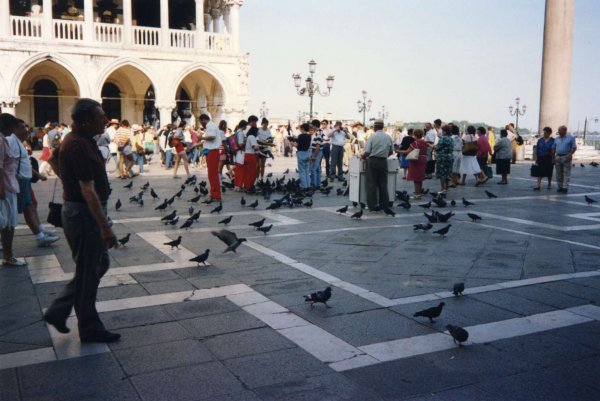 San Francesco.jpg San Francesco.jpg