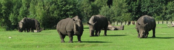 IMG_6575.JPG IMG_6575.JPG