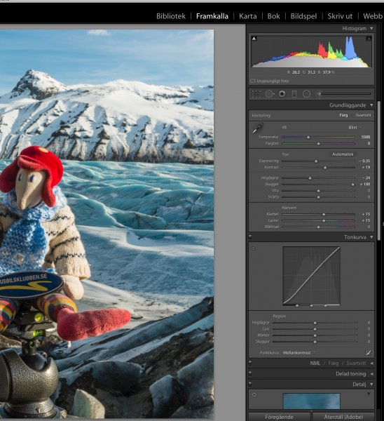 LR framkallningsinst 2.jpg