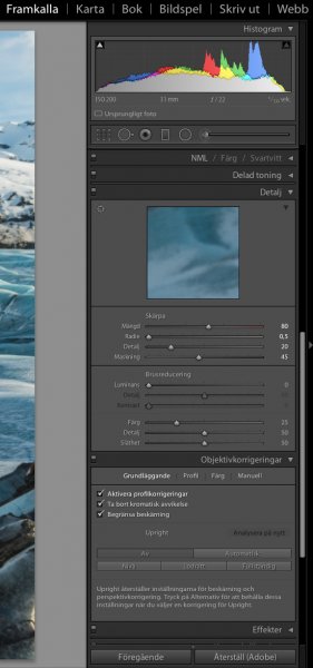 LR framkallningsinst 3.jpg