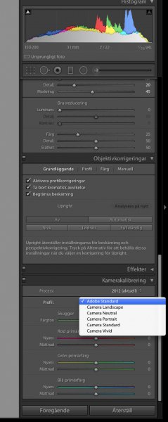 LR framkallningsinst 4.jpg