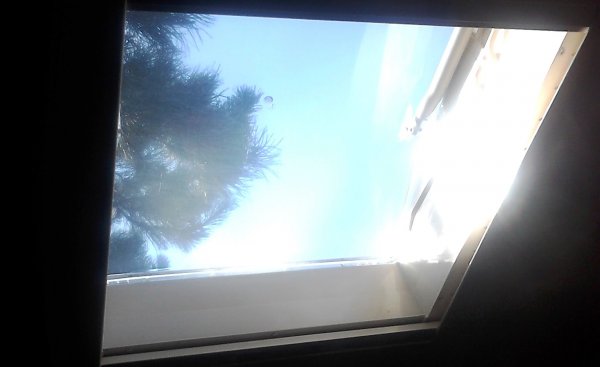 DSC_0612.JPG DSC_0612.JPG