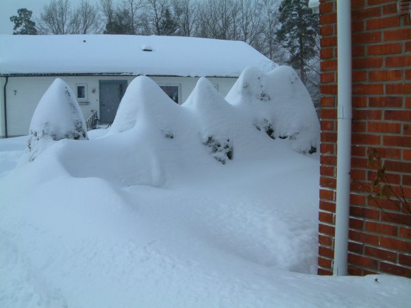 DSCF0004.JPG DSCF0004.JPG