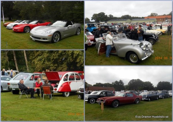 Lergökaallyt 20140830.jpg Lergökaallyt 20140830.jpg