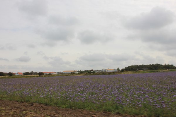 IMG_9330.JPG IMG_9330.JPG