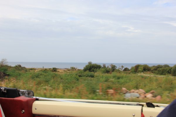 IMG_9331.JPG IMG_9331.JPG