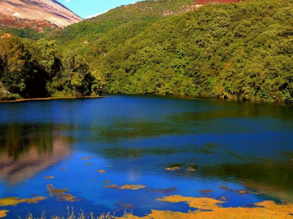 Syrin i Kaltër.JPG Syrin i Kaltër.JPG