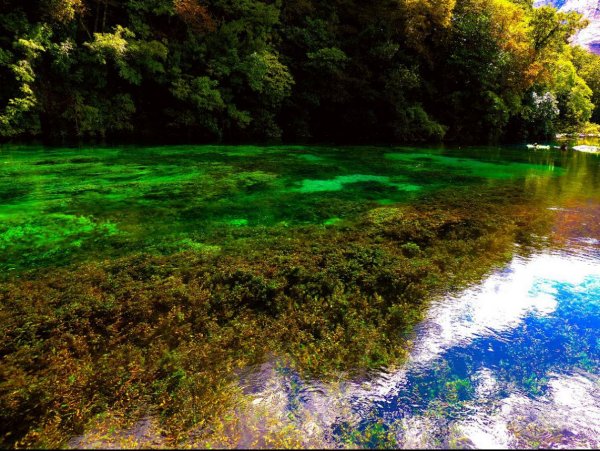 Syrin e Kalter.JPG Syrin e Kalter.JPG