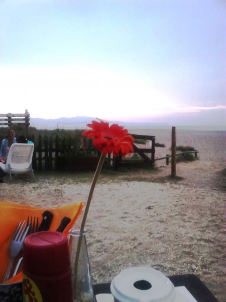 2014-09-06 19.57.14.jpg 2014-09-06 19.57.14.jpg