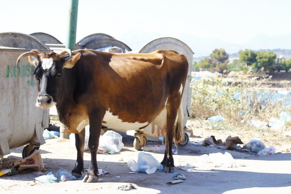 _MG_4142.JPG _MG_4142.JPG