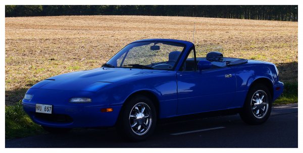 2013-09-07 13.48b.jpg