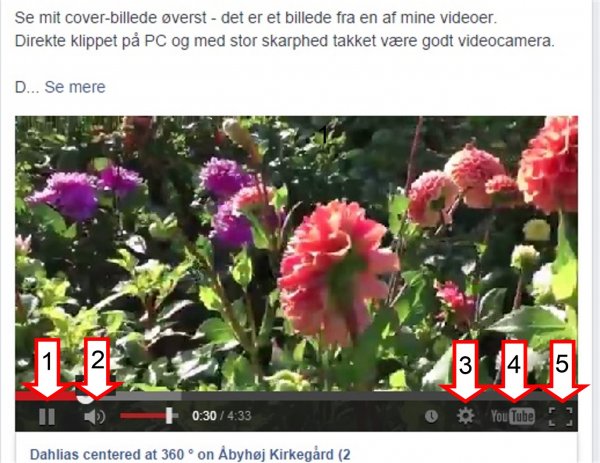 YouTube brug.jpg YouTube brug.jpg