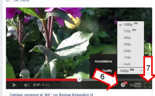 YouTube brug2.jpg YouTube brug2.jpg