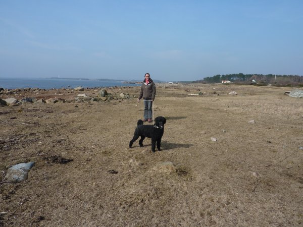 Påspåret 140922.JPG