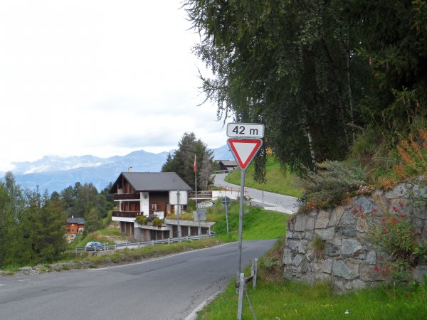 SAM_0441.JPG SAM_0441.JPG