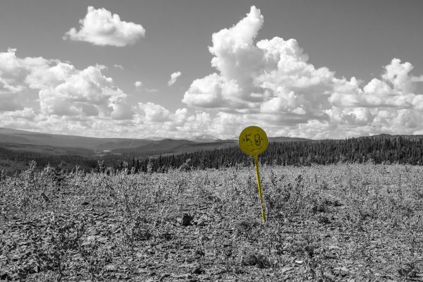 _DSC2049asv_redigerad-1.jpg _DSC2049asv_redigerad-1.jpg