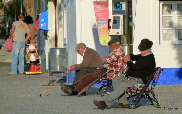 P1050694.jpg P1050694.jpg