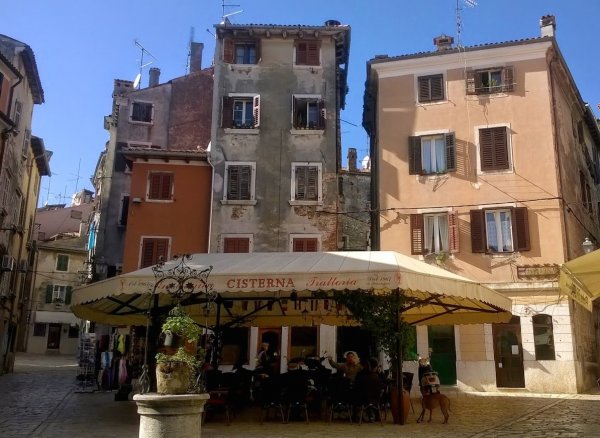 IMG_061.jpg IMG_061.jpg