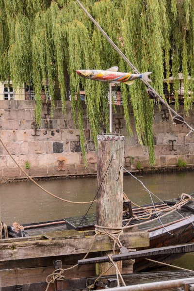 _DSC1855a.jpg _DSC1855a.jpg