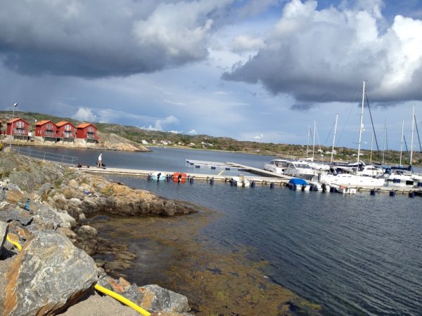 IMG_0212 (Medium).JPG