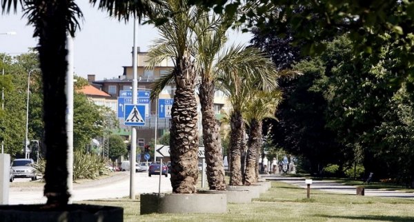 trelleborg palmer.jpg